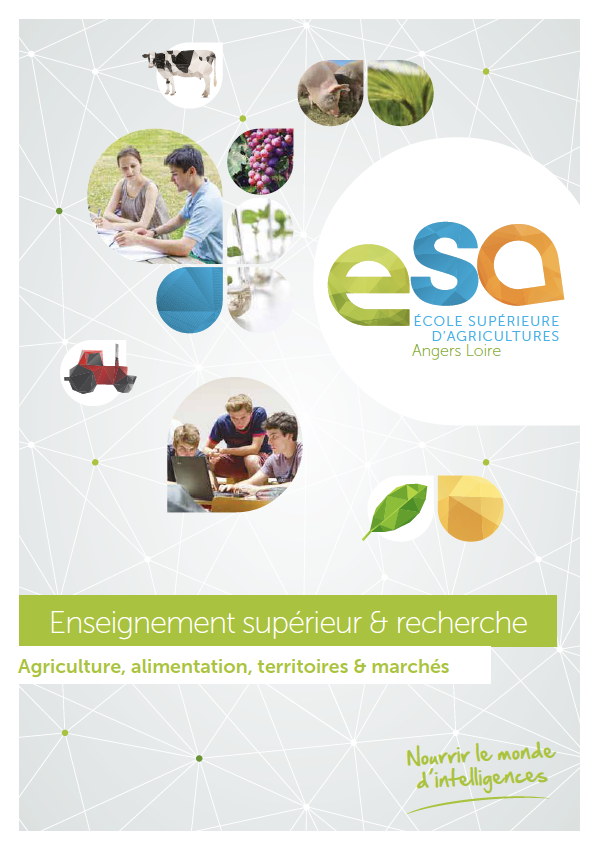 Brochure enseignement supérieur et recherche