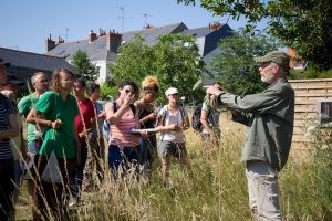 un petit coin de biodiversité à Angers