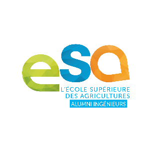 Logo AIESA