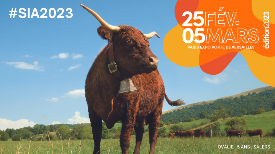 Act'Apéro le 28.02.23 au SIA